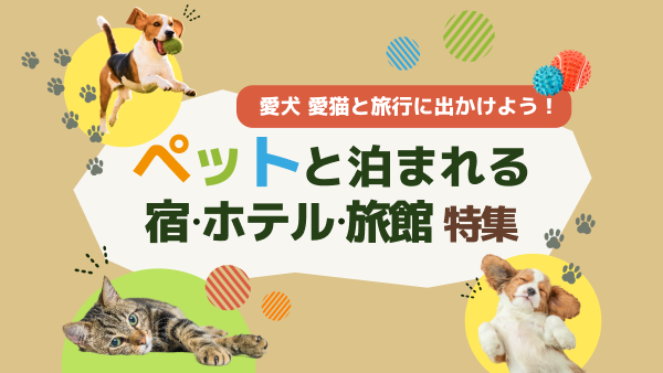 お祭り山車運行
