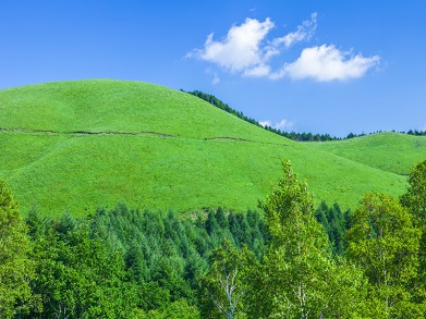 山・高原で遊びたい！