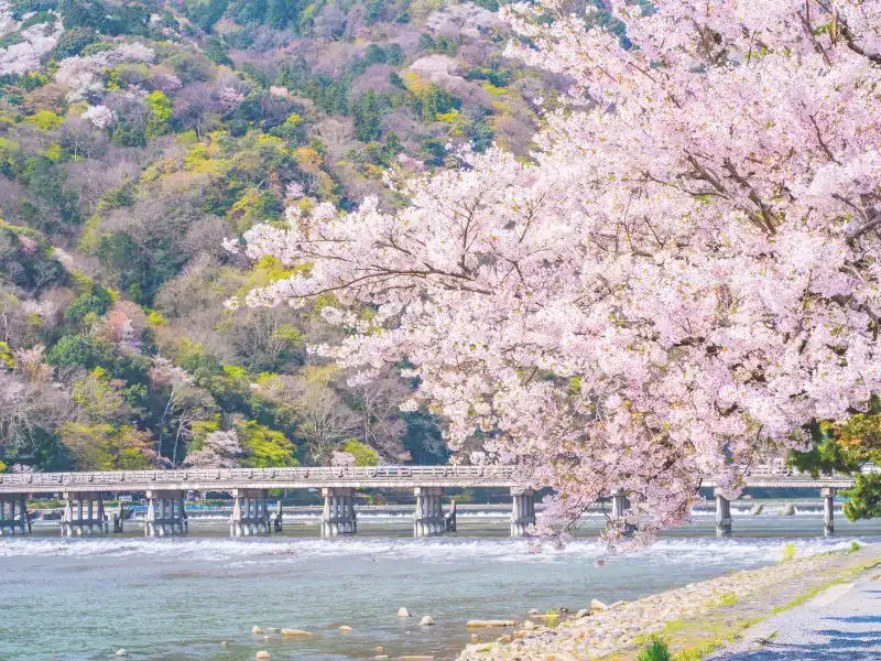 嵐山（京都府）