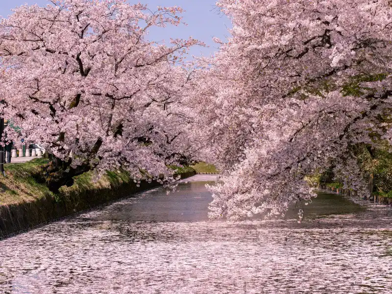 弘前公園（青森県）