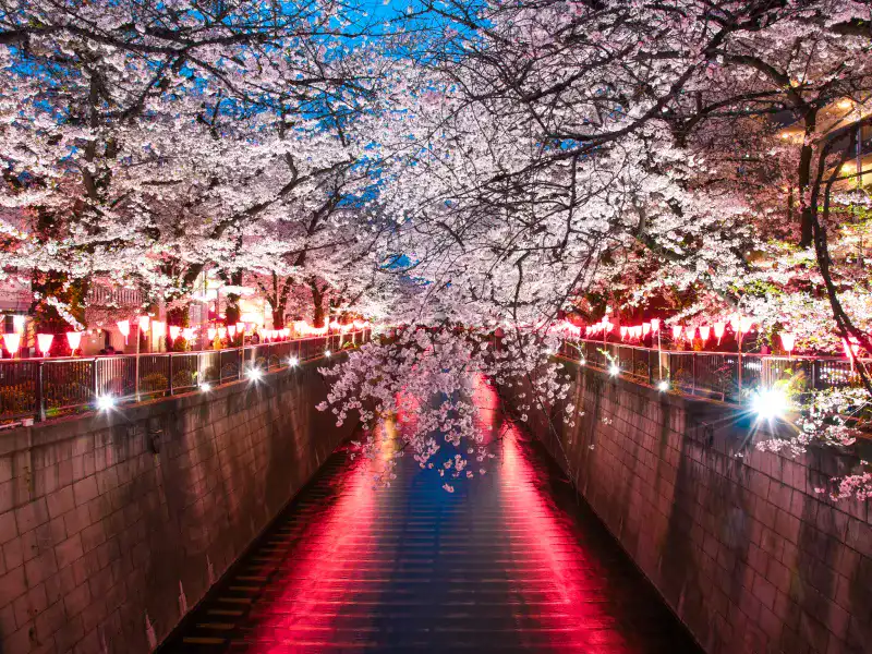目黒川（東京都）