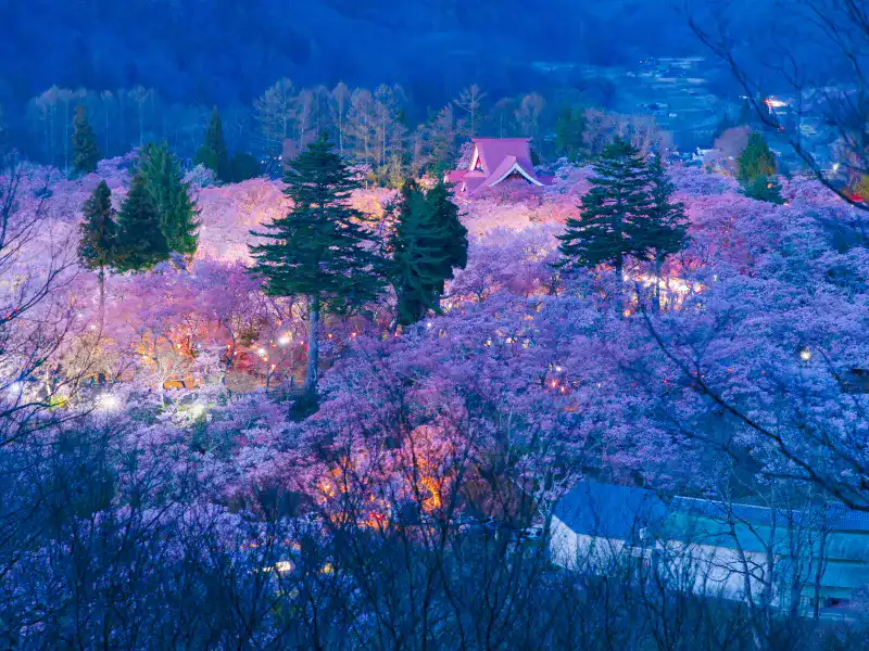 高遠城址公園（長野県）