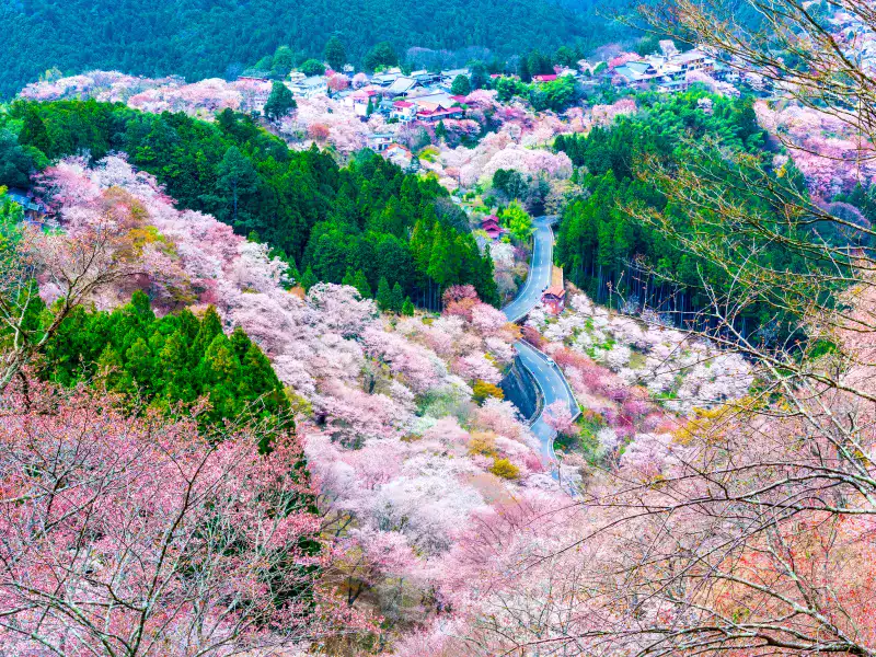吉野山（奈良県）