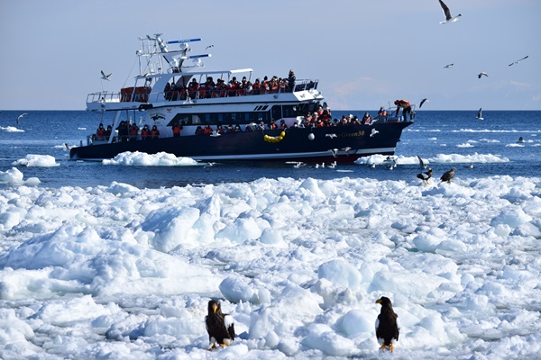 流氷クルーズ