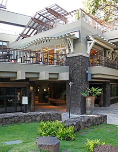 �A�C�����h�E���B���e�[�W�E�R�[�q�[�O��