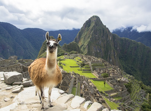 南米旅行 南米ツアー 東京 羽田 成田 発 海外ツアー Jtb