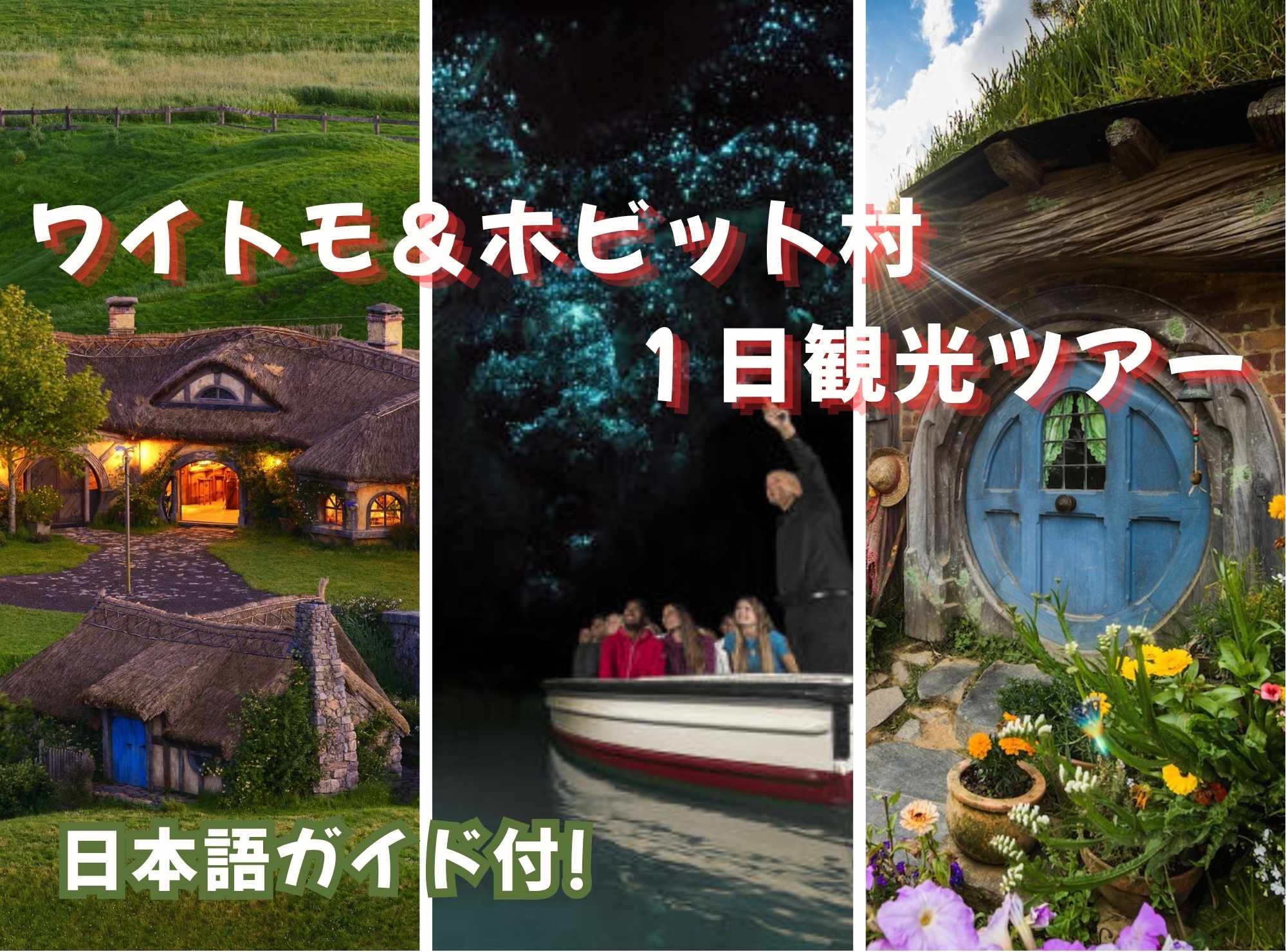 ワイトモ＆ホビット村  １日観光ツアー（日本語ガイド付）
