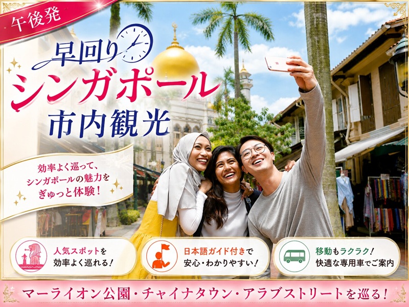 【マーライオン公園・チャイナタウン・アラブストリートを巡る凝縮コース】午後発・早回りシンガポール市内観光