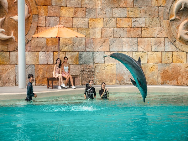 イルカと遊ぼう！ドルフィン・イマージョン/コネクション/オブザーバー