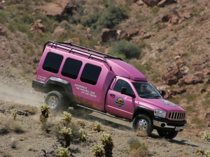 【ピンクジープで行く！】デスバレー国立公園1日観光(英語ツアー)