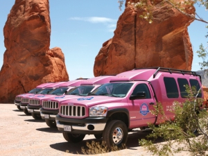 【ピンクジープで行く！】バレーオブファイアー州立公園1日観光(英語ツアー)