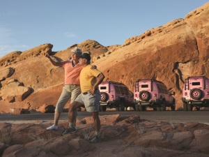 バレーオブファイアー    ピンクジープ    　