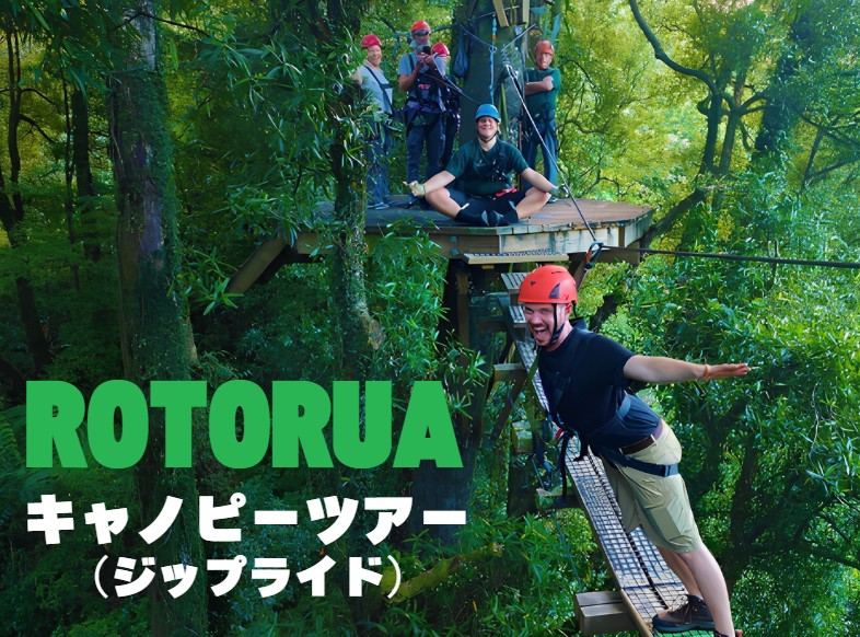 ロトルア    キャノピーツアー(ジップライド)