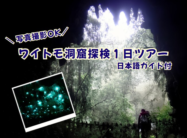 ワイトモ洞窟探検１日ツアー  （日本語ガイド付き）　