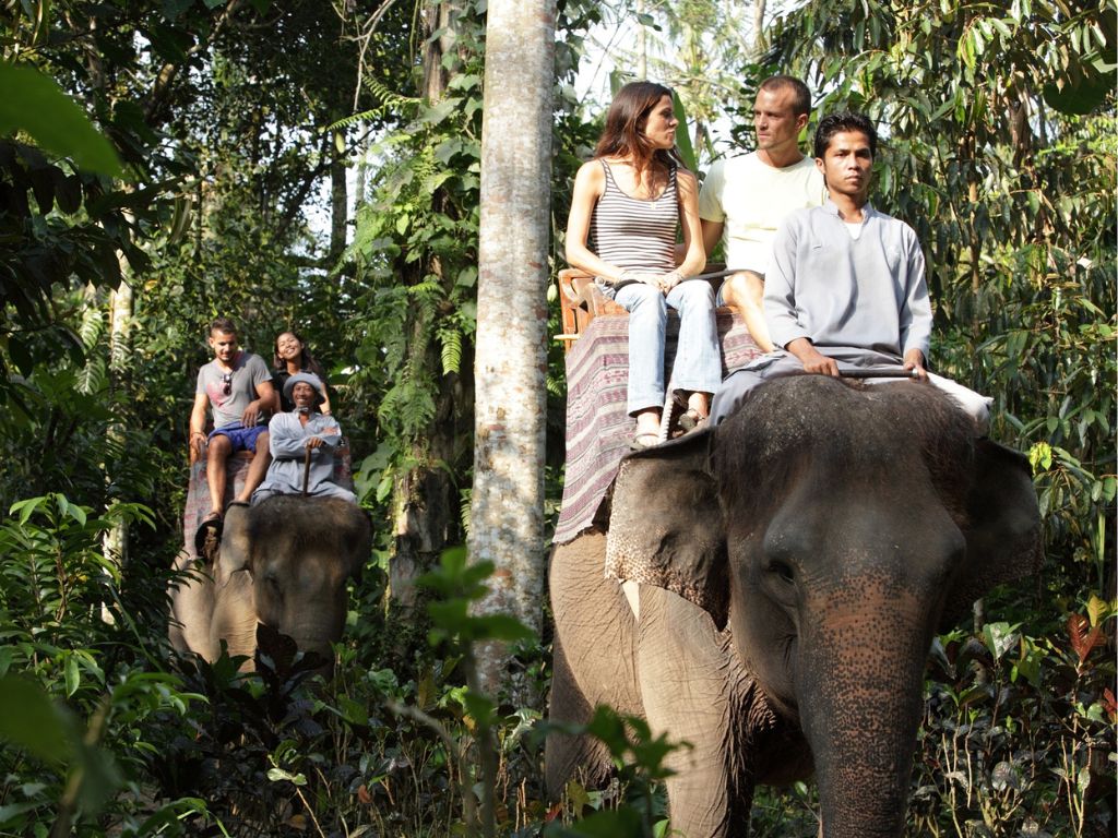 バリ島唯一の象専用保護区「メイソンエレファントパーク」で象乗り体験