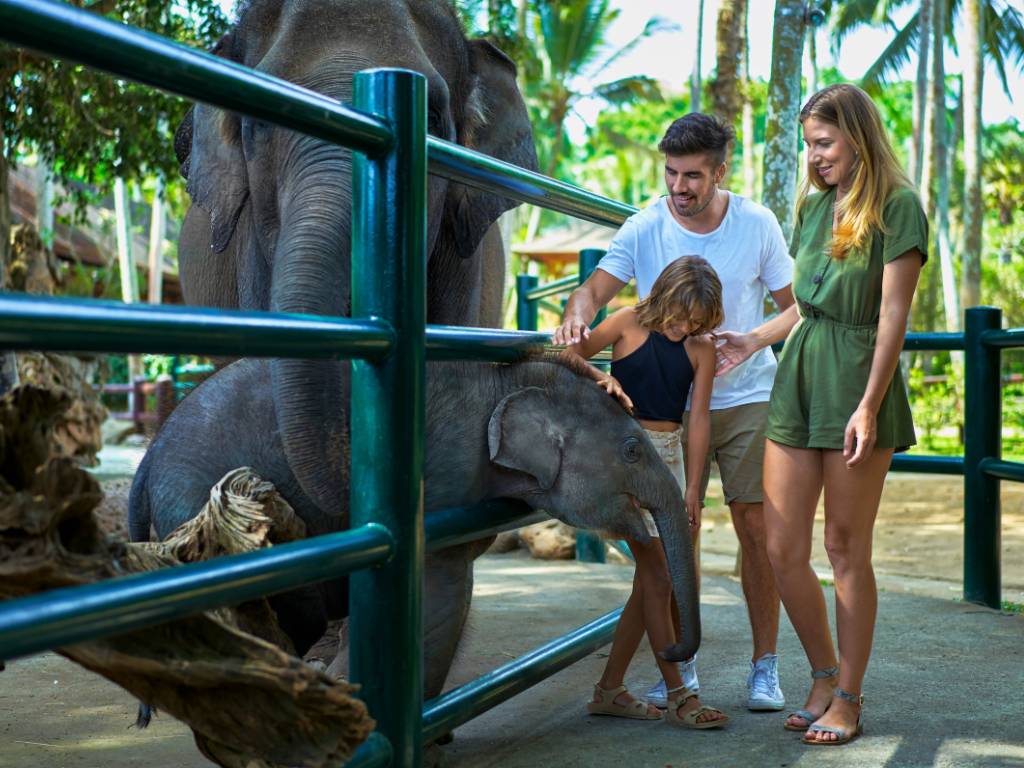 メイソン・エレファントパーク