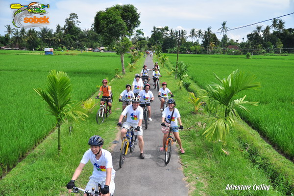 マウンテン サイクリング by ソベック （ランチ＆送迎付）
