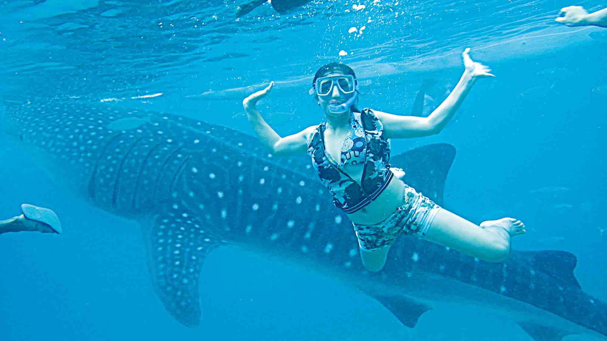 セブの観光 オプショナルツアー予約は Jtb 人気商品一覧から簡単予約