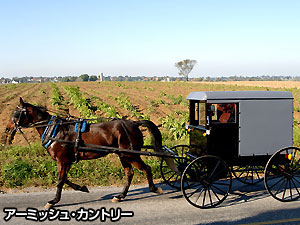 フィラデルフィア発  古都フィラデルフィアとアーミッシュ村 1日観光