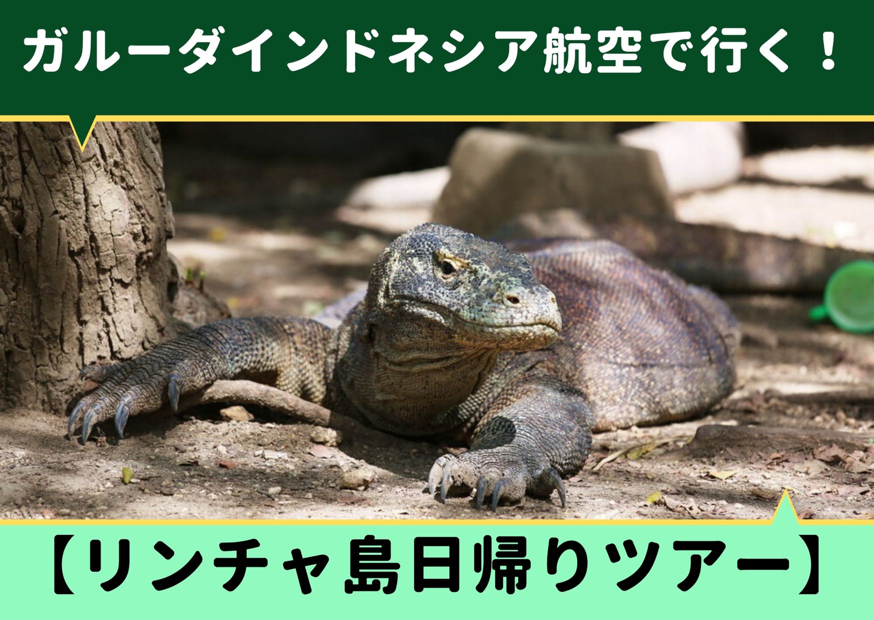 ドラゴン コモド