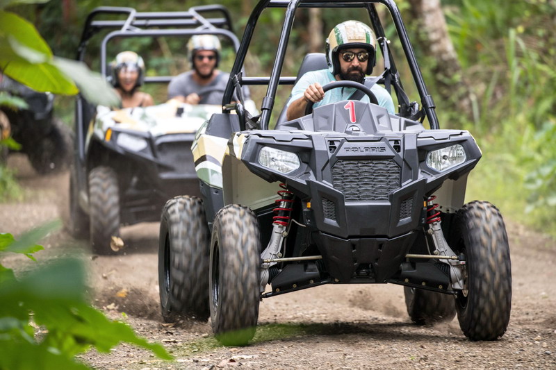 大興奮！ジャングルバギー！