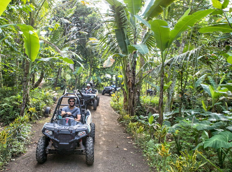 ジャングルバギー