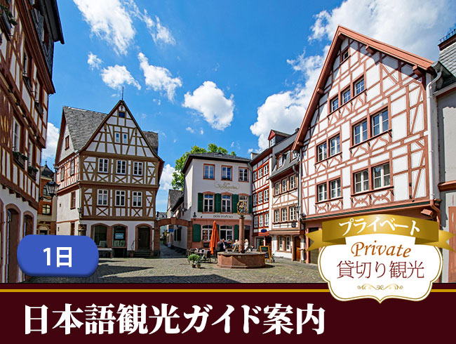 <選べるプライベートプラン>列車に乗って！フランクフルトからお好きな街へ！日帰り1日観光ガイド付