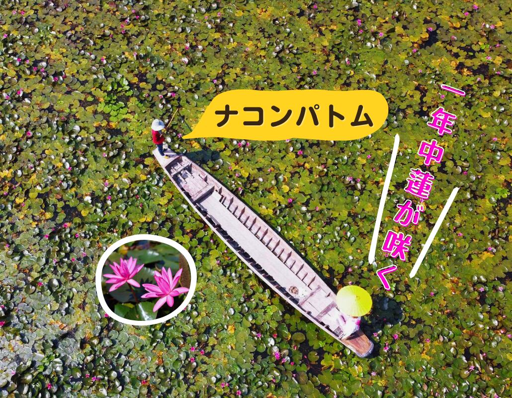 【ツアー】名物「火山エビ」のランチ付き！ナコンパトムで蓮の池観光  
