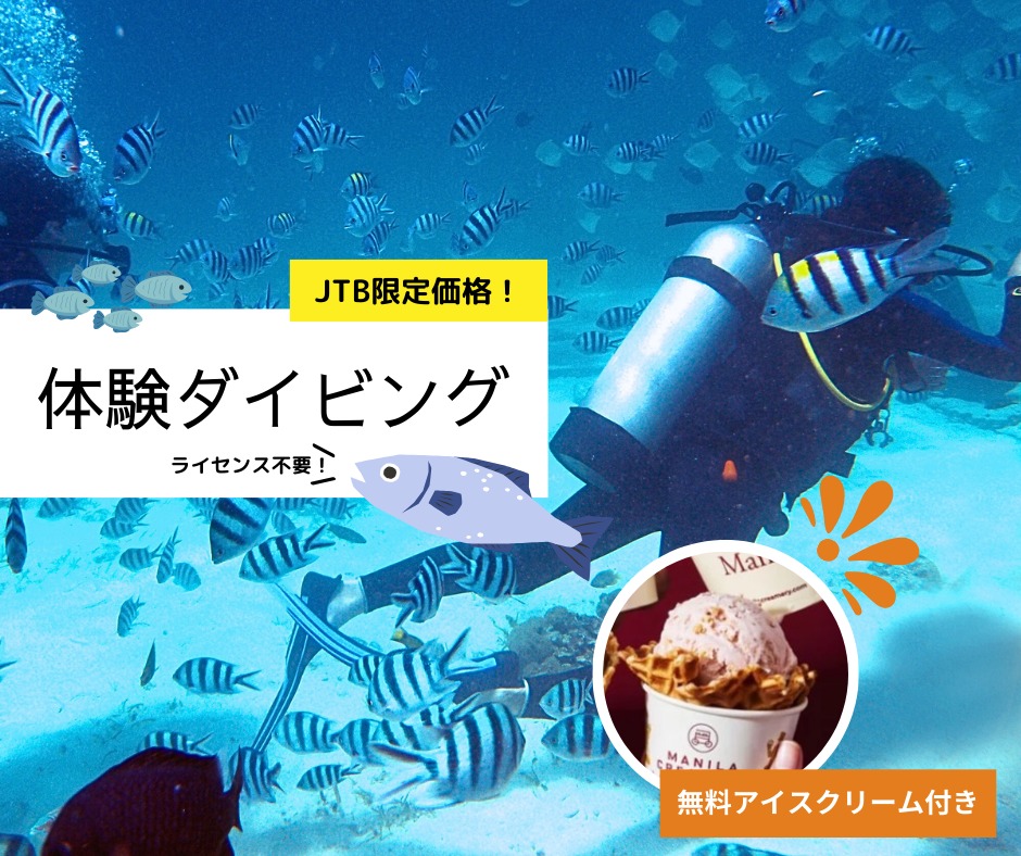 【9月30日まで期間限定50％割引】初めてでも安心！シャングリラビーチで体験ダイビング