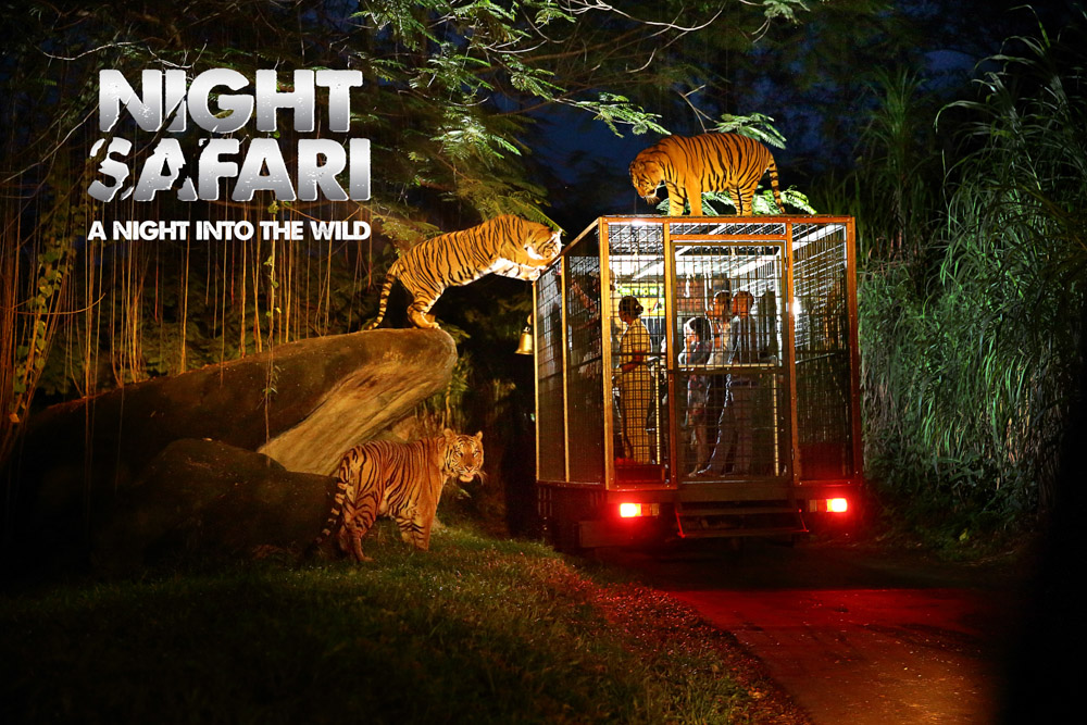 夜のサファリパークを探検！ at バリサファリ＆マリンパーク  ☆ナイトサファリ（JTB日本語ガイドによる送迎付）