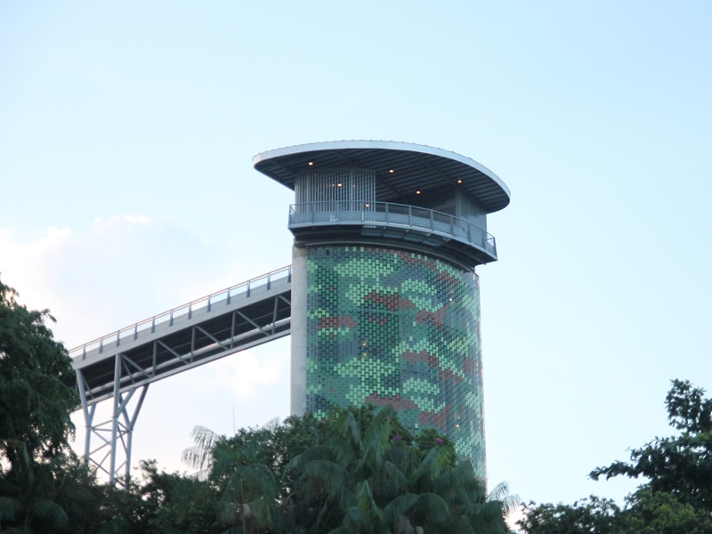 ❖みどころ②❖ 自然と歴史を組み合わせた散策スポット「フォート・シロソ・スカイウォーク」