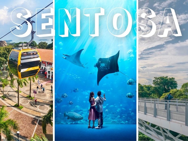 【ぐるり♪まるごとセントーサ島観光】シンガポール・オーシャナリウム＋フォート・シロソ・スカイウォーク＋ケーブルカー乗車