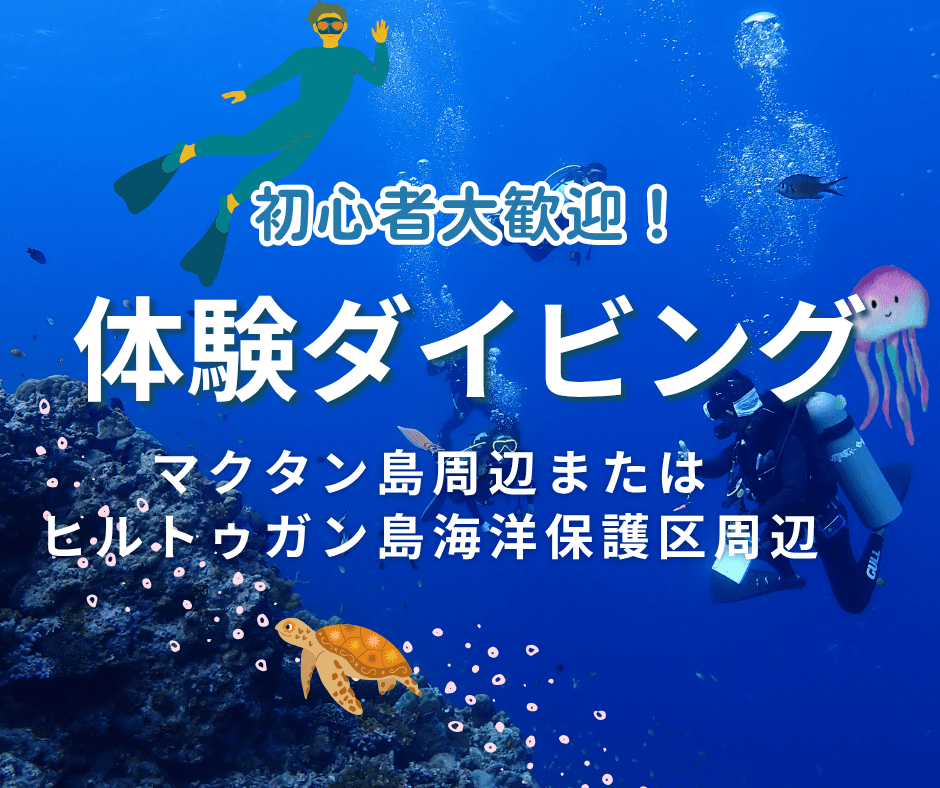 【体験ダイビング】マクタン島周辺またはヒルトゥガン島海洋保護区周辺へ！ライセンス不要！初心者OK！＜器材フルレンタル込み＞