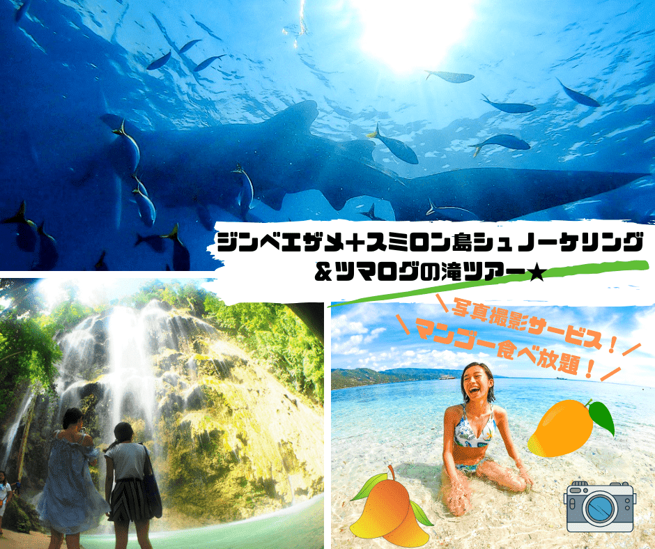 【前日まで予約OK】【ジンベエ】人気ジンベエザメ＆絶景スミロン島でシュノーケリング＆ツマログ滝（フルーツ食べ放題付き）セブ島の人気スポット3ヶ所を1日で制覇！＜昼食／日本語ガイド／写真サービス付き＞