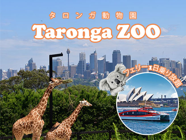 タロンガ動物園入場料 + フェリー１日乗り放題