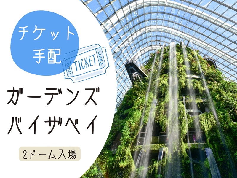 【チケット手配】＜人気アトラクション1日券＞ ガーデンズ・バイ・ザ・ベイ（フラワー・ドーム＋クラウド・フォレスト）