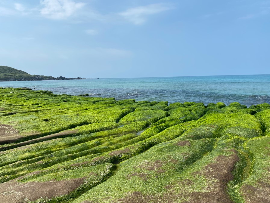 老梅緑石槽とは