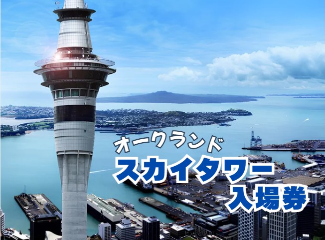 オークランド  スカイタワー  入場券