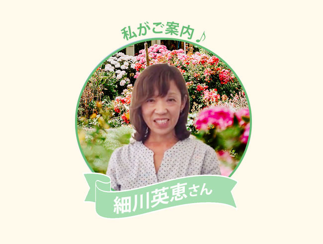 経験豊富な日本語観光アテンダントがご案内