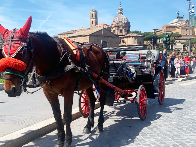 〈馬車散策付プラン〉をお選びいただければ、コロッセオから真実の口まで馬車で優雅に移動！