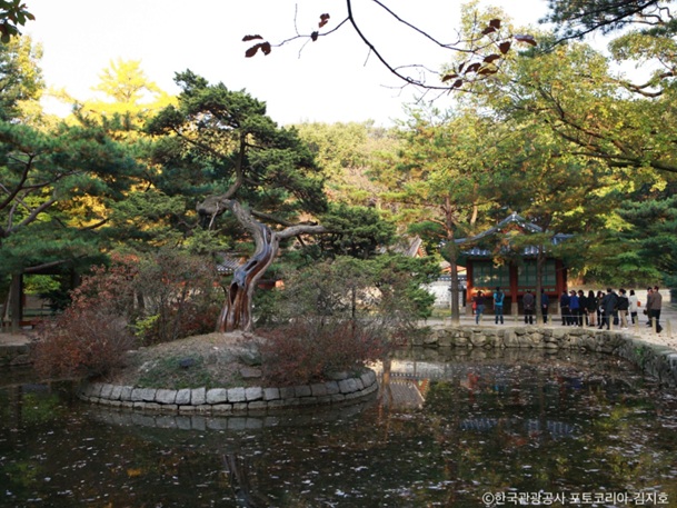 世界遺産・宗廟(チョンミョ)|王族の魂が眠る聖地