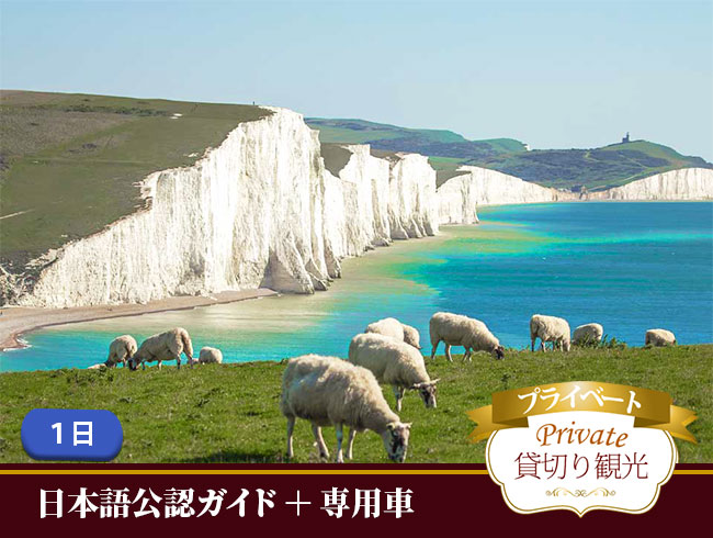 専用車+日本語公認ガイドがご案内する白亜の岸壁セブンシスターズと中世の港街ライ プライベート1日観光