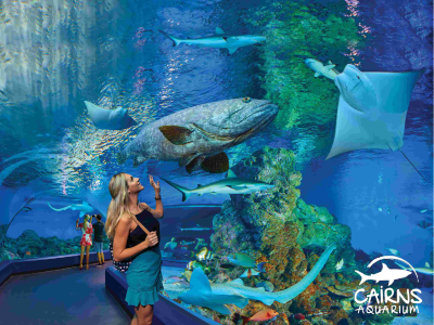 ケアンズ水族館 入場チケット