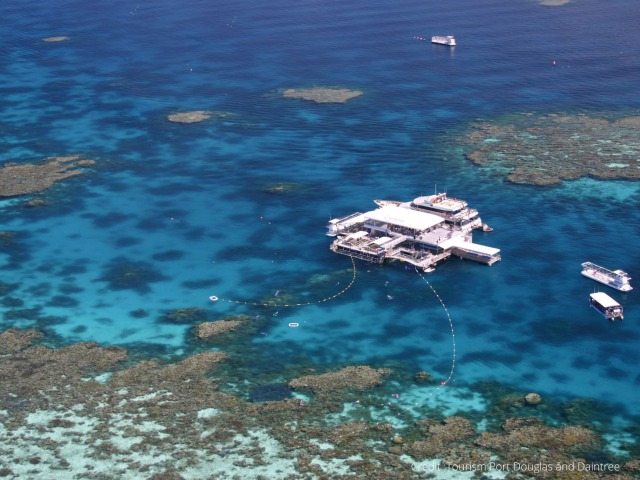 透明度抜群...！エイジンコートリーフへ行くクイックシルバークルーズ【ポートダグラス集合】