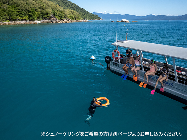 両方楽しめるアクティビティ体験
