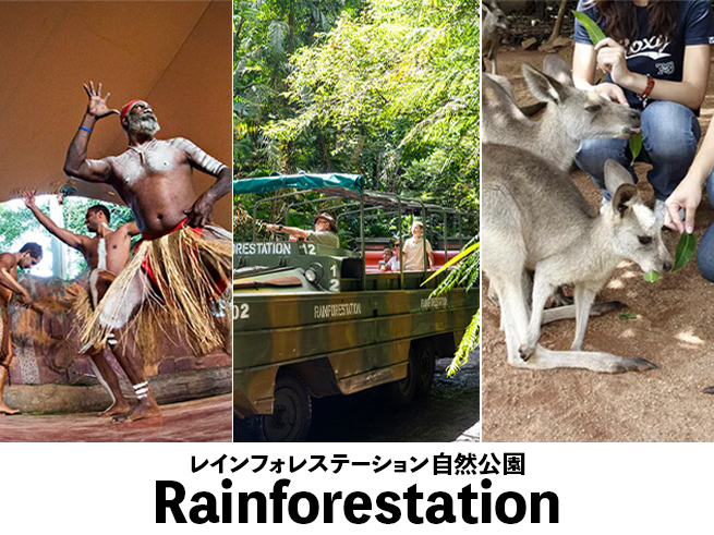 【レインフォレステーション | アクティビティ】キュランダの世界遺産ネイチャーパークを大満喫