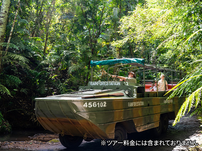 絶景の熱帯雨林を列車と空から体感