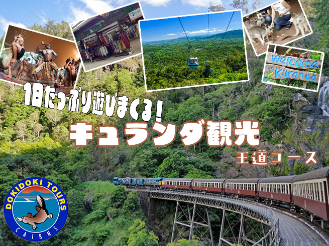 【キュランダ鉄道で行く熱帯雨林の村】世界遺産をまるっと1日満喫！デラックスコース（送迎付き）