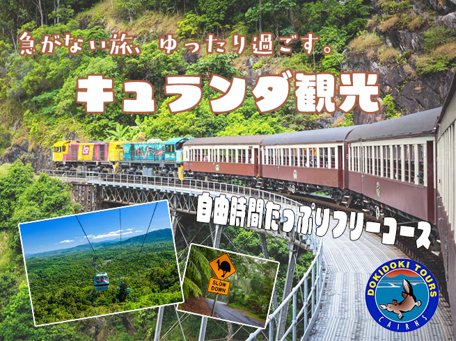 【自由に歩くキュランダの旅】熱帯雨林と村の魅力をじっくり体感 フリーコース（送迎付き）