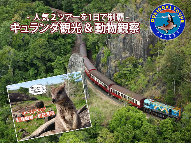 【キュランダ観光 + 動物探検ツアー】キュランダ列車 / BBQディナー付き